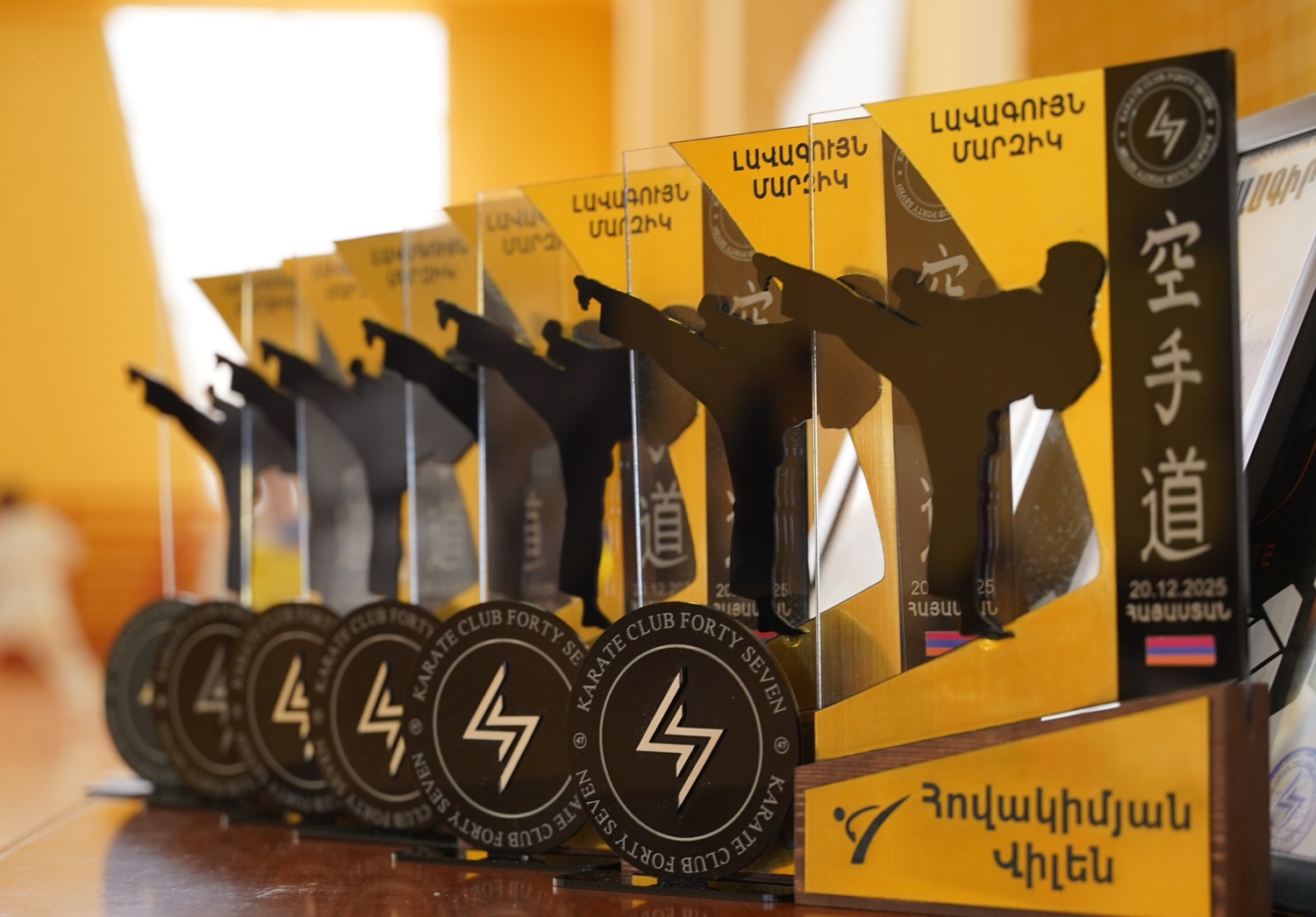 Karate Club 47 trophies and medals