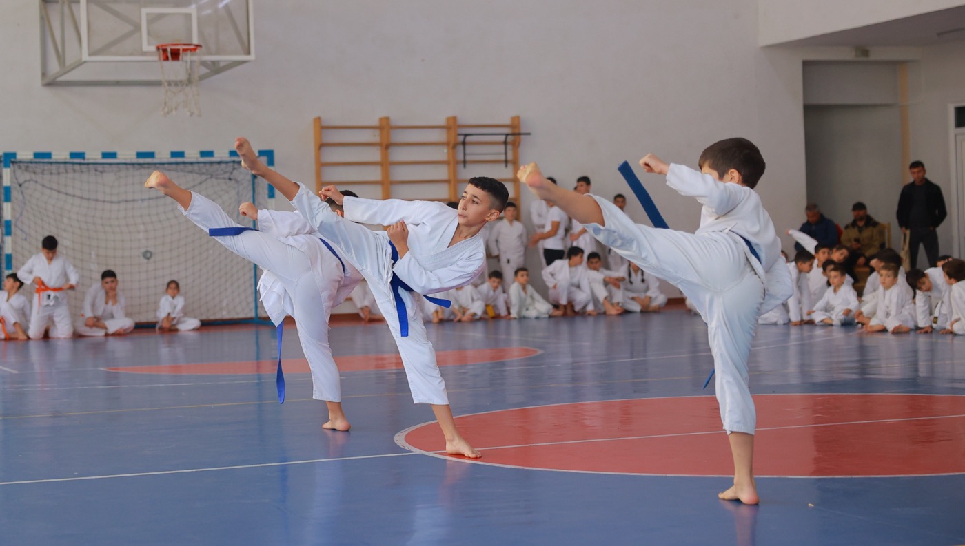 Students practising high kicks