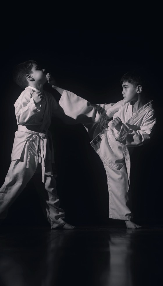 Karate sparring