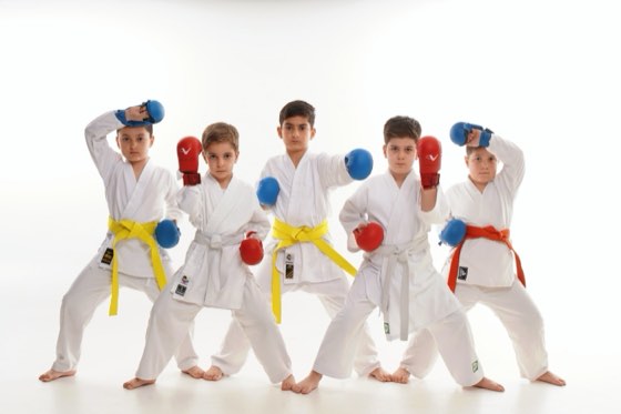 Young students in gloves in fighting stance