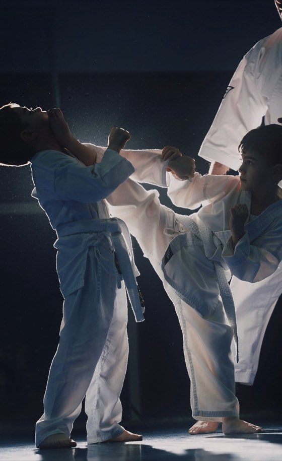 Karateka training