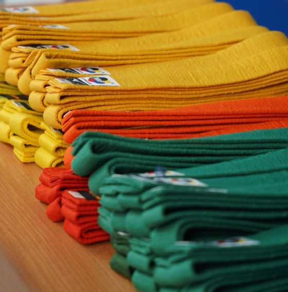 Coloured karate belts